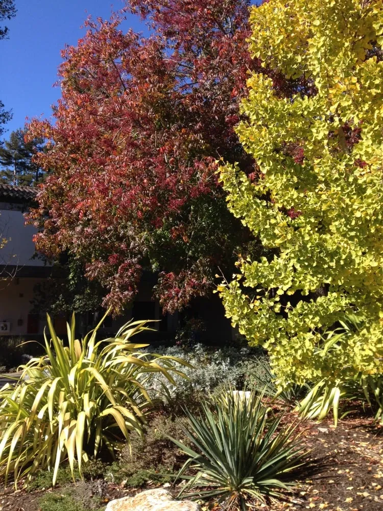 Slide of Low Cost Rooter