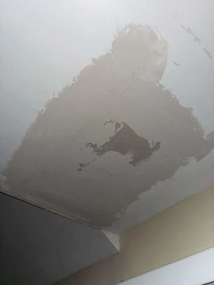 Top-rated leak detection for homes in Chicago, IL by Lows Contracting