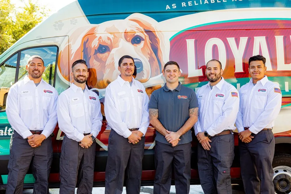 Slide of Loyalty Plumbing