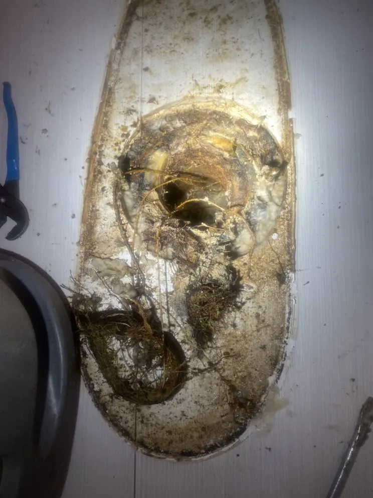 Top-rated plumbing repair service in Los Angeles, CA - Luigi Plumbing, Heating & Air Mechanical