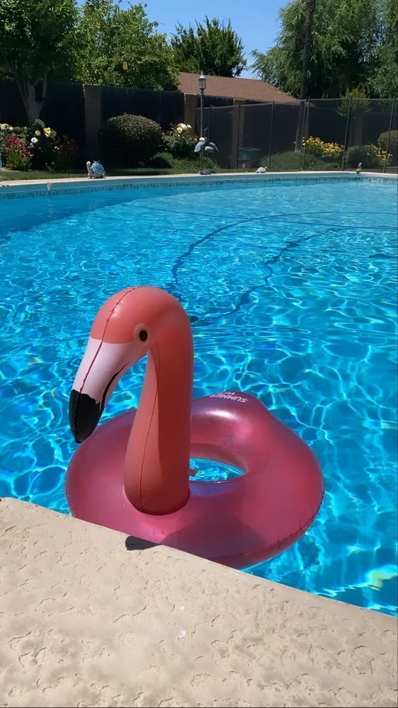 Slide of Luis & Christine Gomez