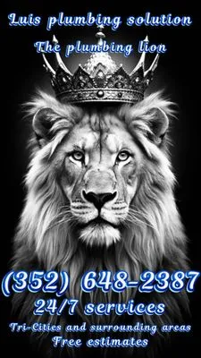 Luis Plumbing Solutions