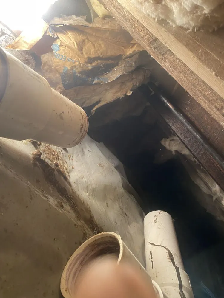 Slide of Lumbs Plumbing