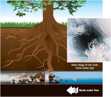 Slide of Luna Plumbing