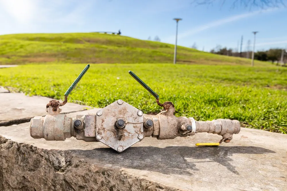 Slide of Lupton Backflow