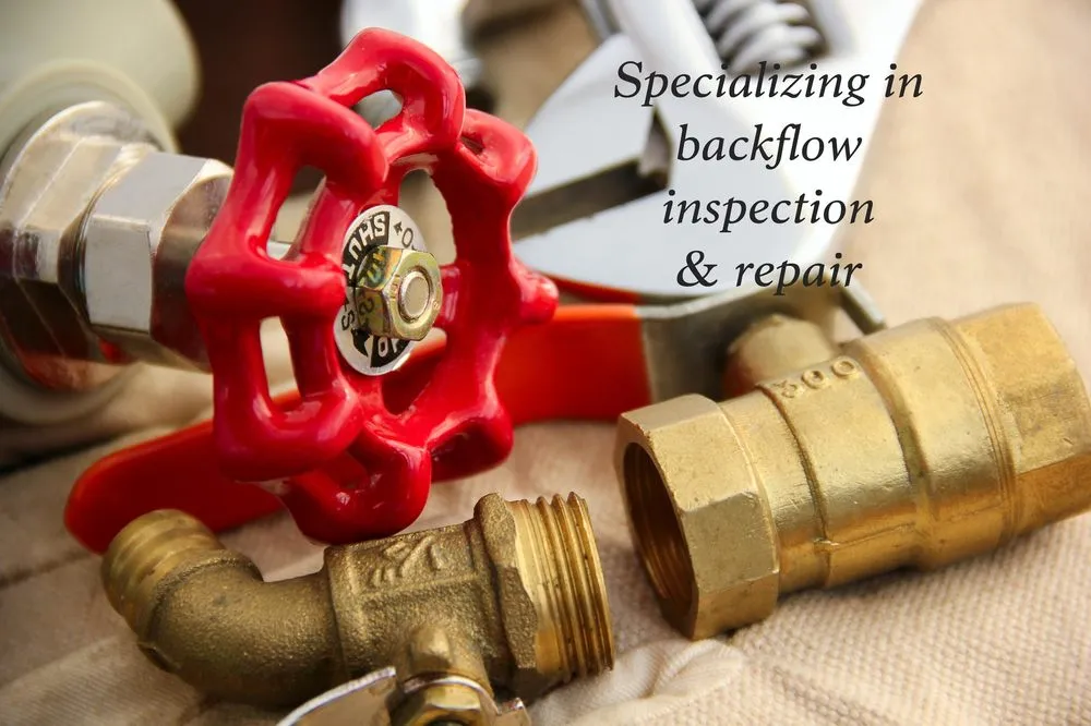 Slide of Lupton Backflow