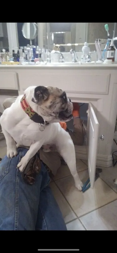 Slide of Luttrell Brothers Plumbing