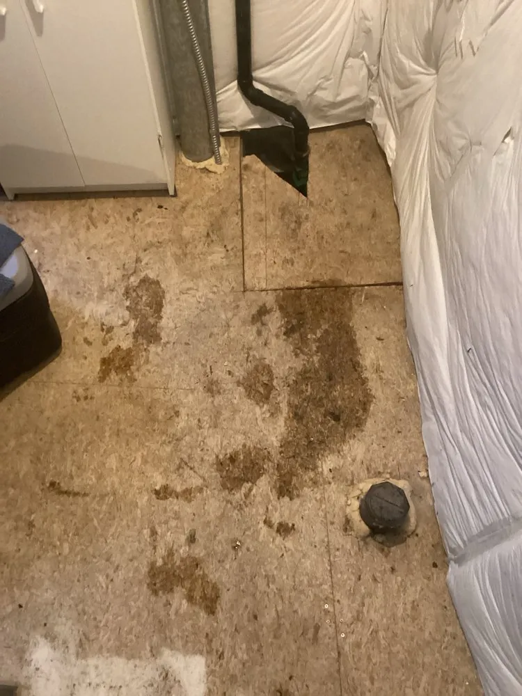 Top-rated pipe repair in Wheat Ridge, CO by Luxe Plumbing