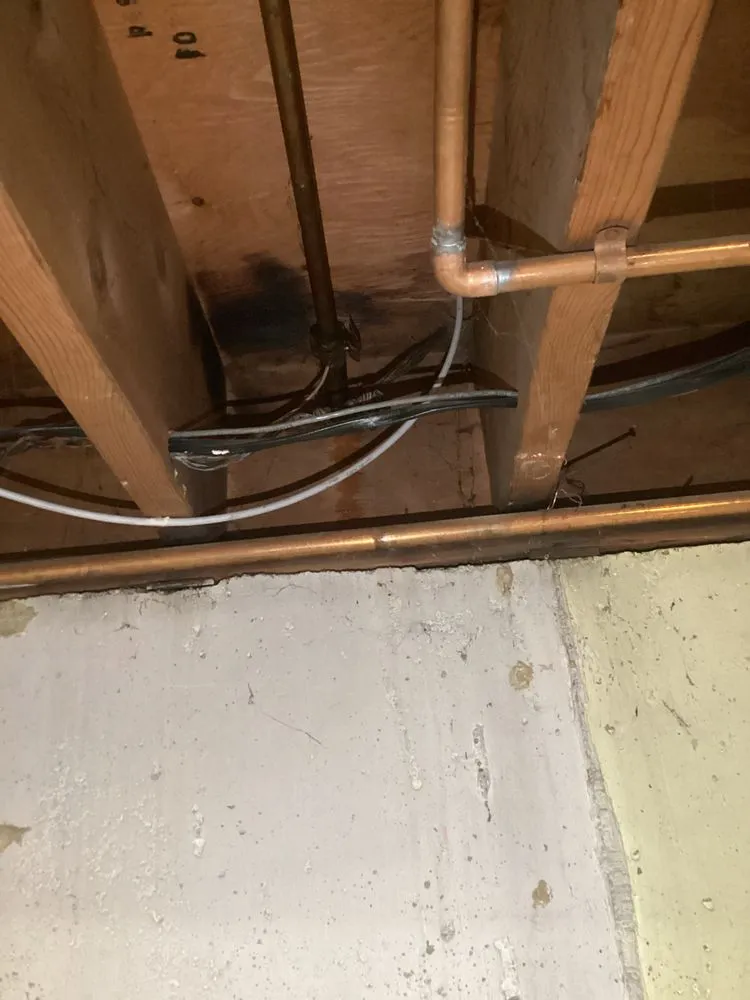 Expert leak detection in Wheat Ridge, CO by Luxe Plumbing