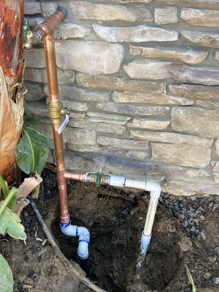 Slide of LV Plumbing