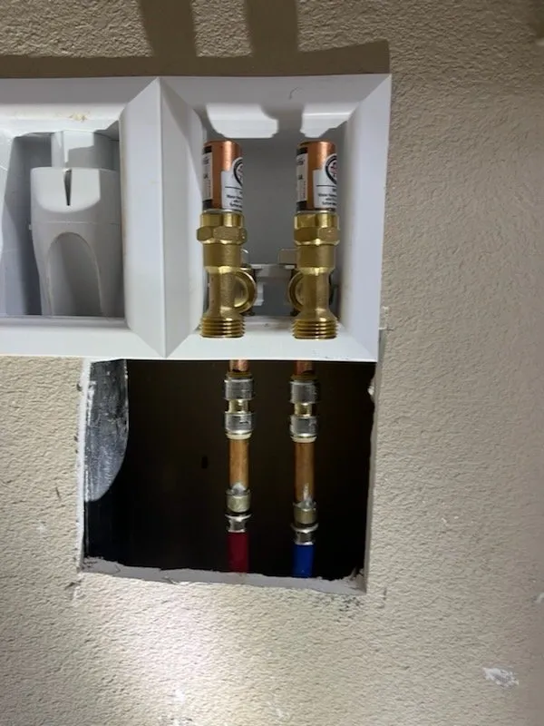 Slide of LV Plumbing