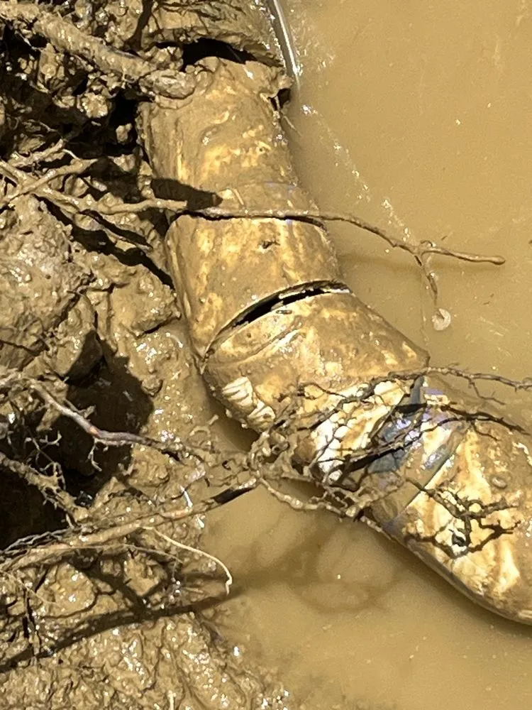 Slide of LV Plumbing