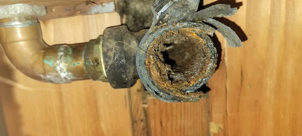 Slide of LVB Plumbing