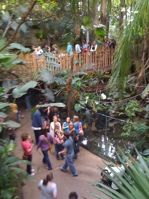 Slide of Lynch Plumbing