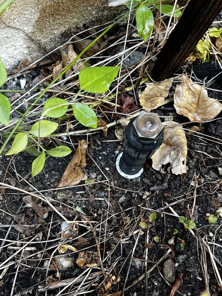 Slide of M & C Drains