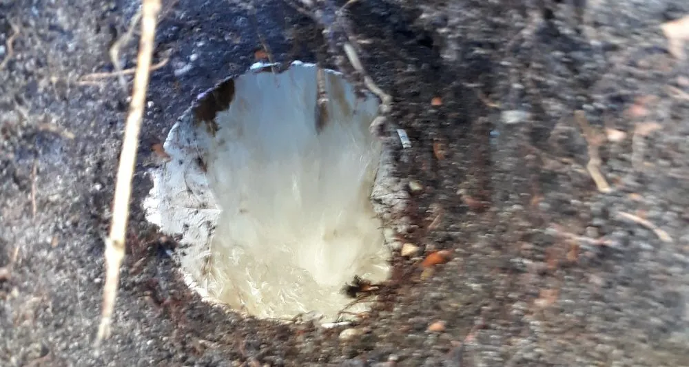 Professional water heater service for homes in Oakland Park, FL by M And C Plumbing Service