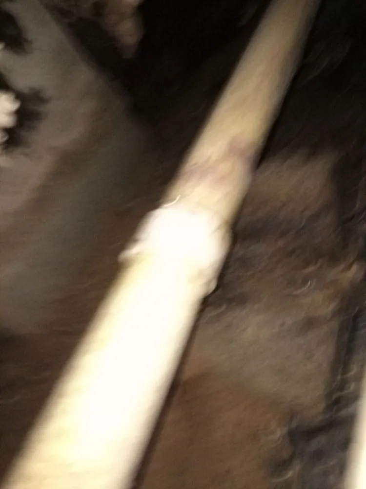 Slide of M C Wright And Sons Plumbing