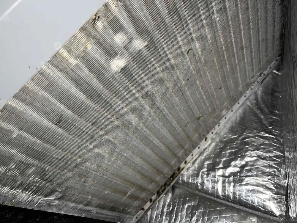 Slide of Mac 5 Services