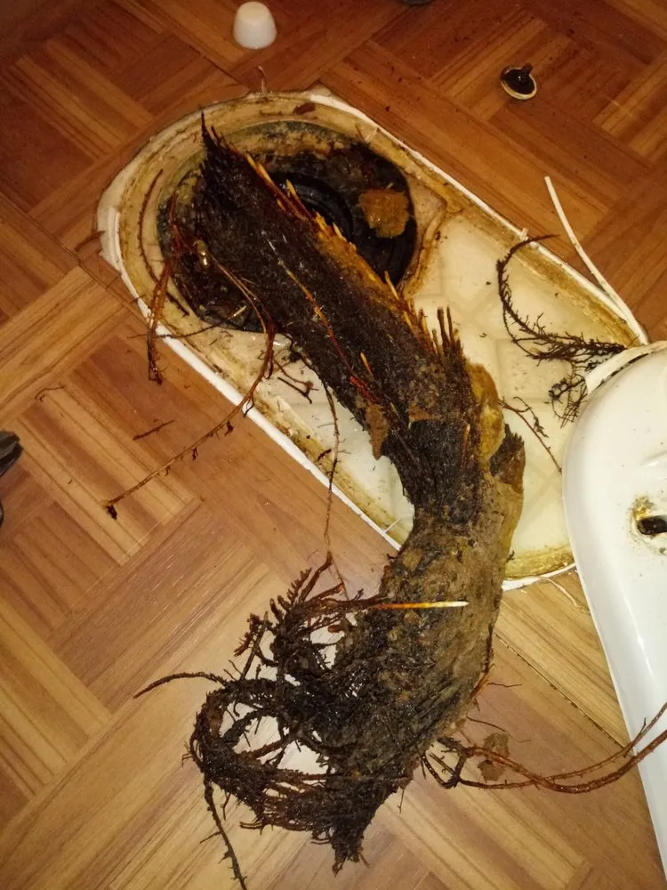 Top-rated pipe repair service in Elk Grove, CA - Mac's Plumbing, Heating & Air