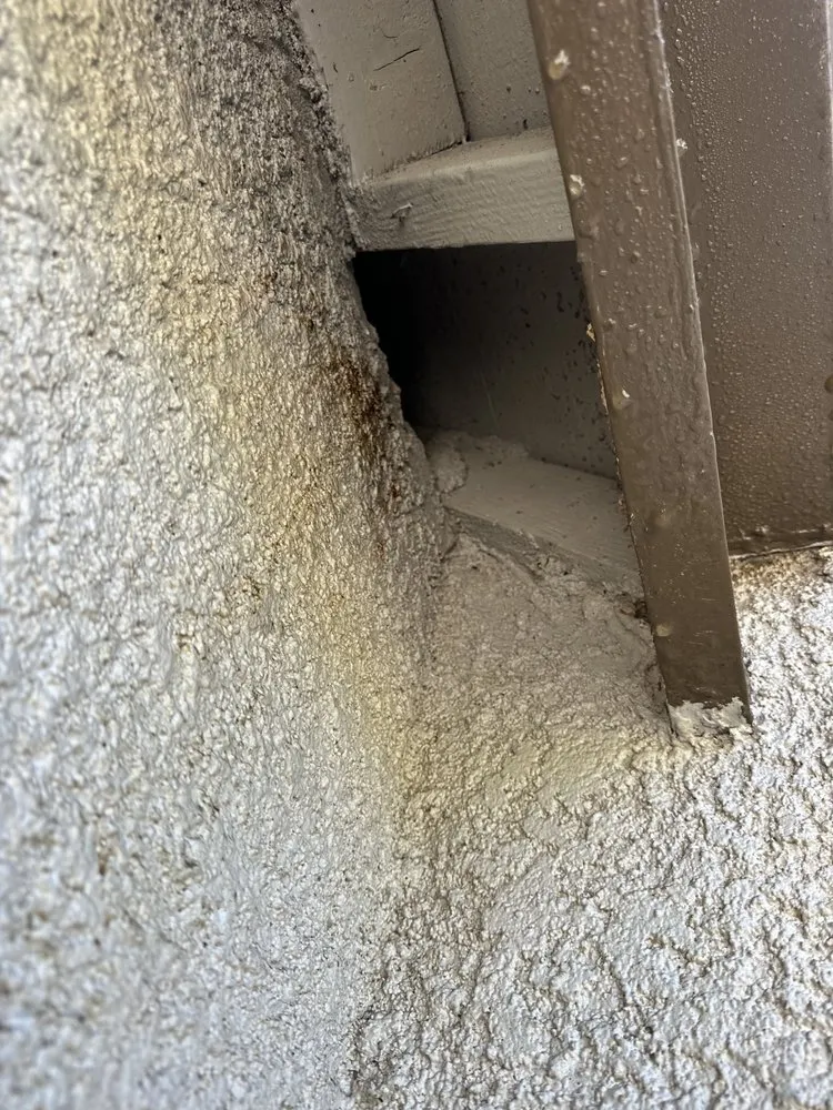 Top-rated drain cleaning in Fairfield, CA by Macy's House Doctor