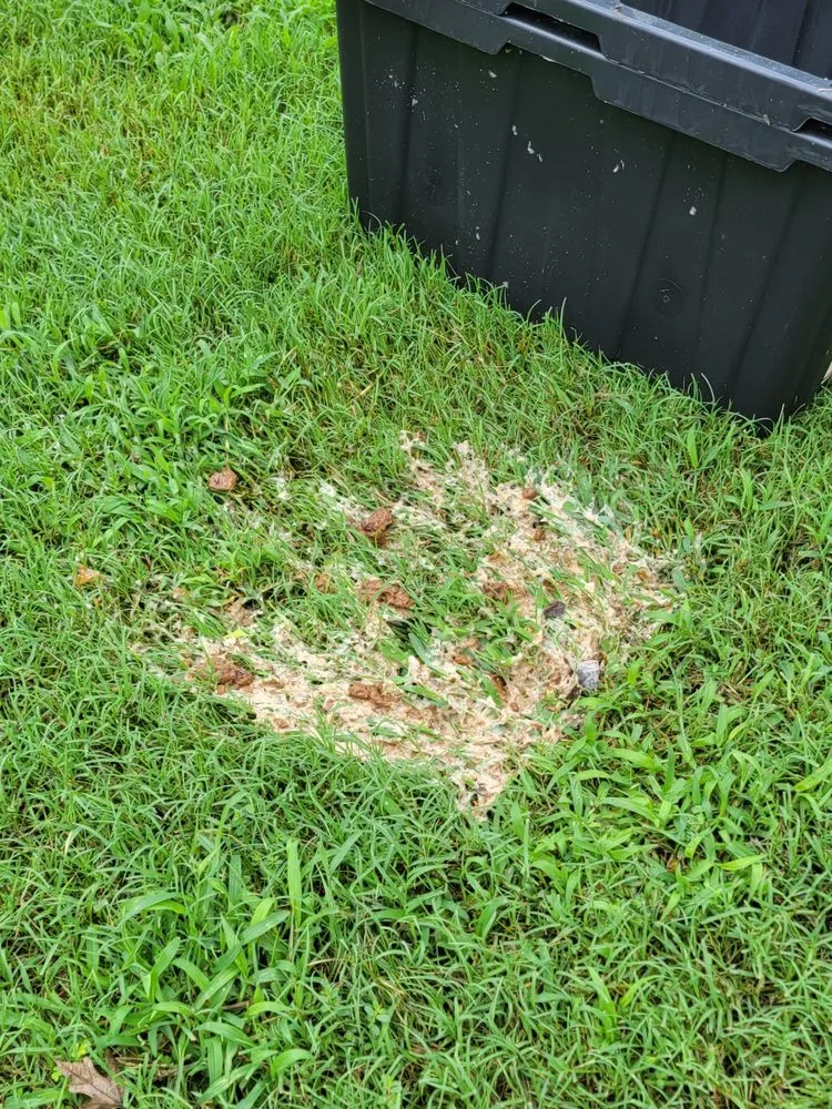 Slide of Maddox Plumbing