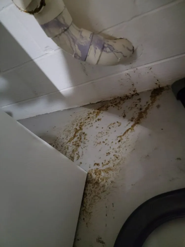 Slide of Maddox Plumbing