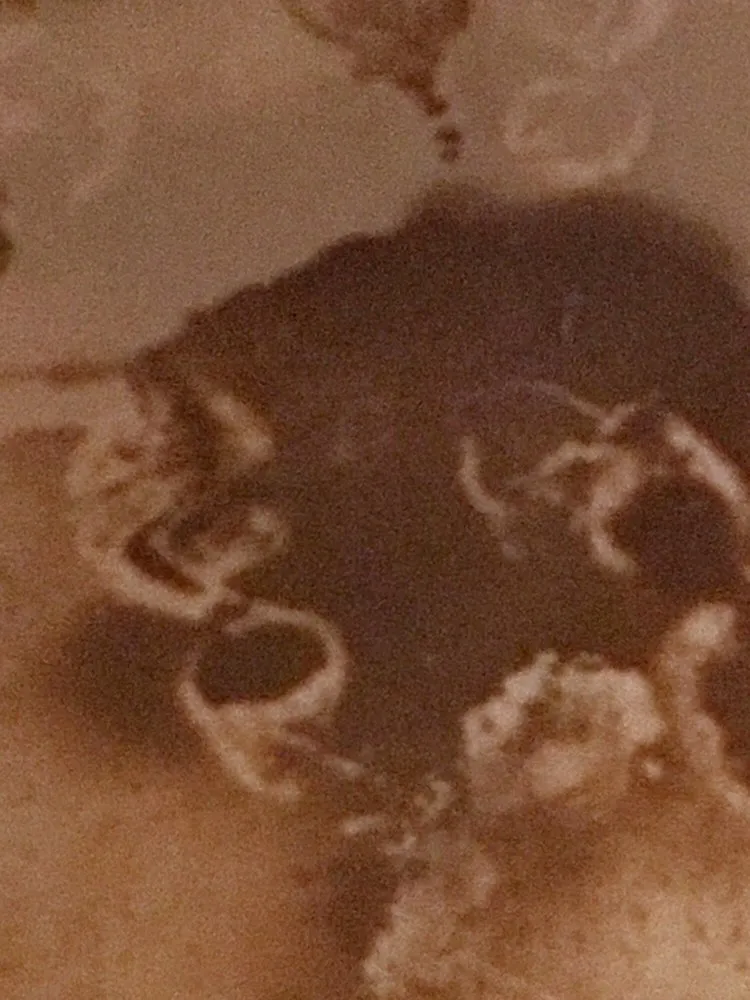 Slide of Made In Chicago Plumbing