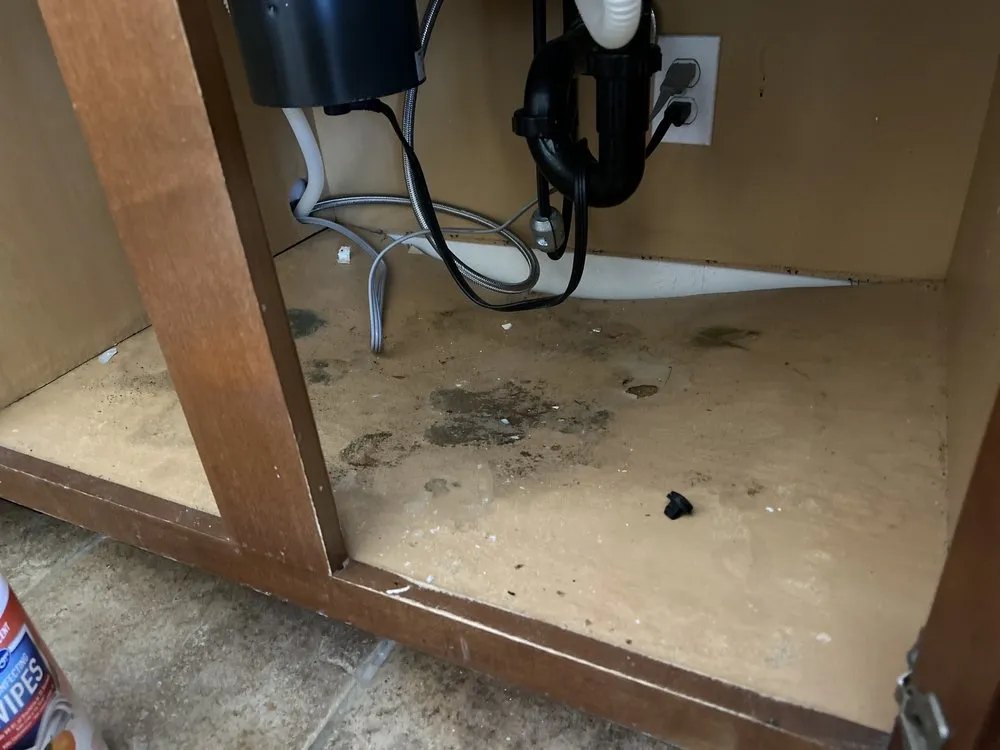 Slide of Madisons Helping Hand