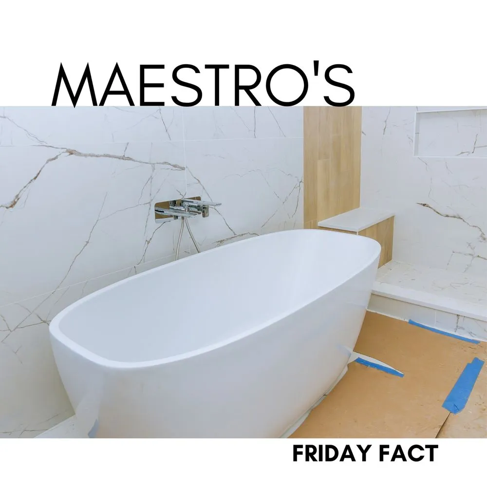 Slide of Maestro Maintenance Management