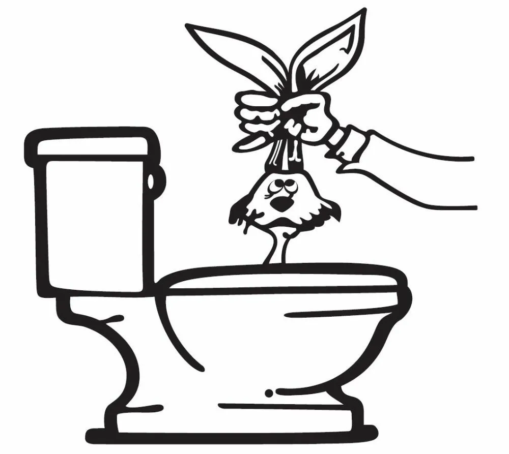 Slide of Magic Drain