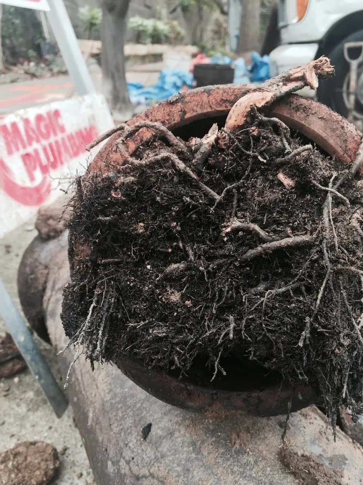 Slide of Magic Plumbing