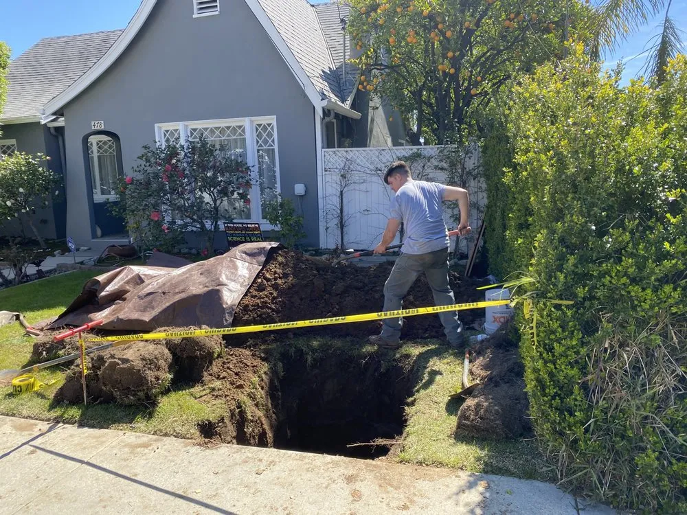 Slide of Magic Rooter & Plumbing