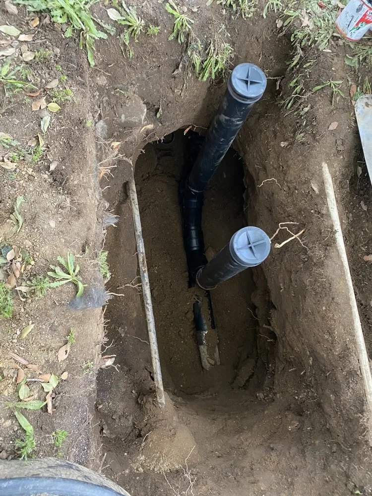 Slide of Magic Rooter & Plumbing