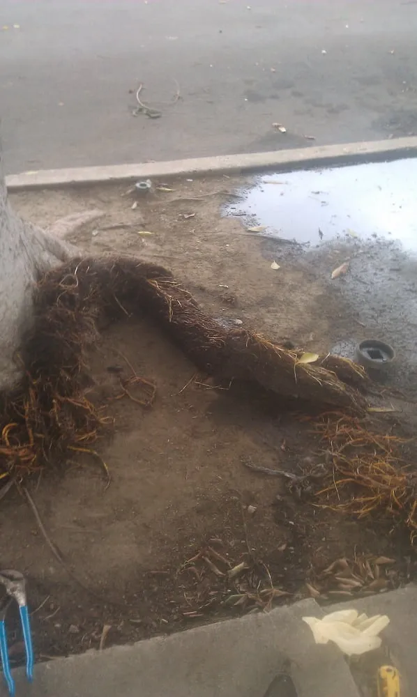 Expert water heater service experts serving Pasadena, CA - Magic Rooter & Plumbing