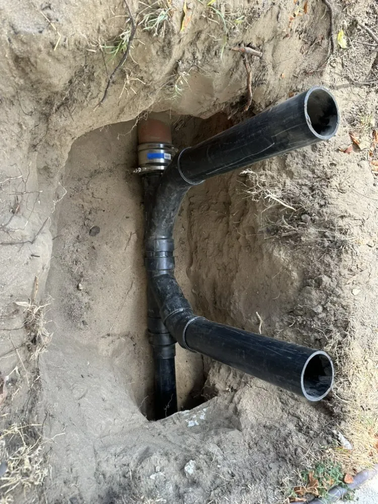 Slide of Magic Rooter & Plumbing