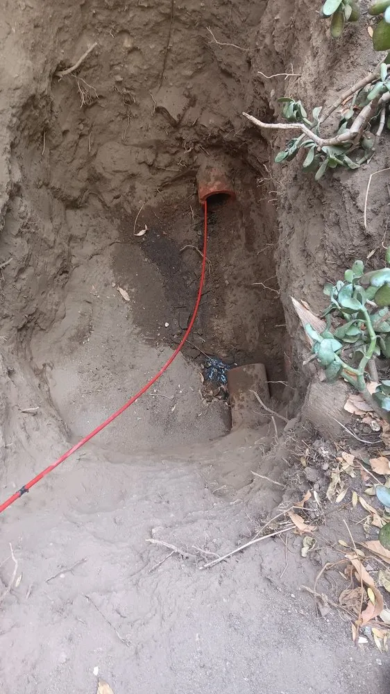 Slide of Magic Snake Pro