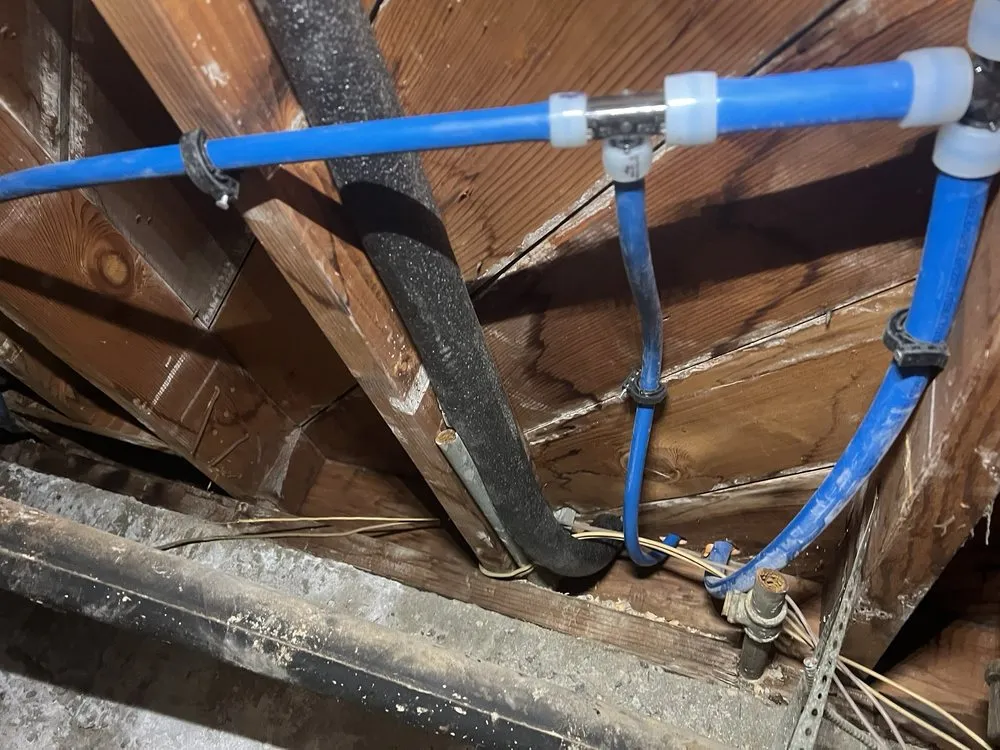 Slide of Magic Snake Pro