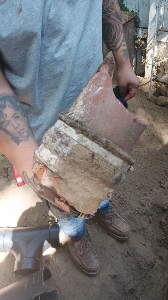 Slide of Magic Snake Pro