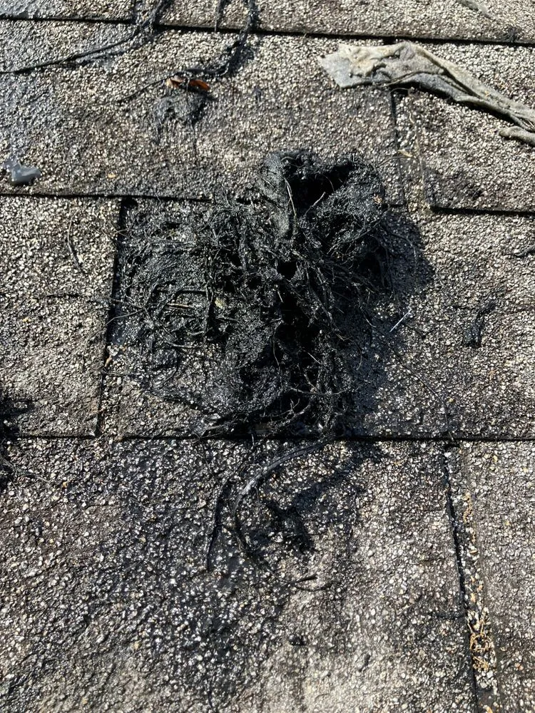 Slide of Magical Plumbing & Septic