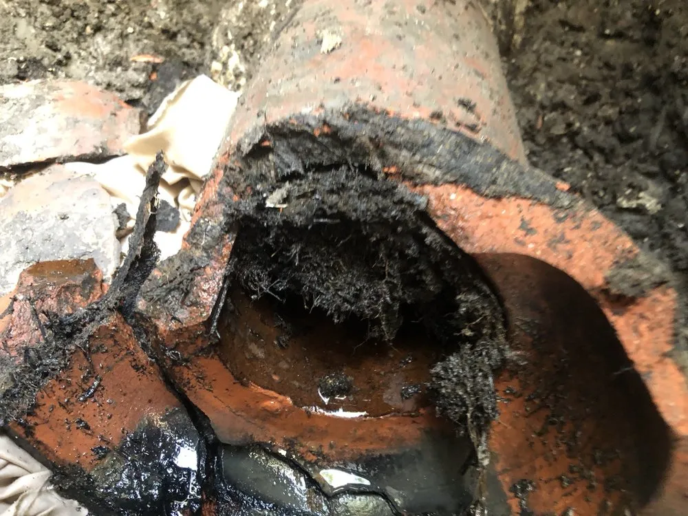 Slide of Main Drain Sewer Specialist