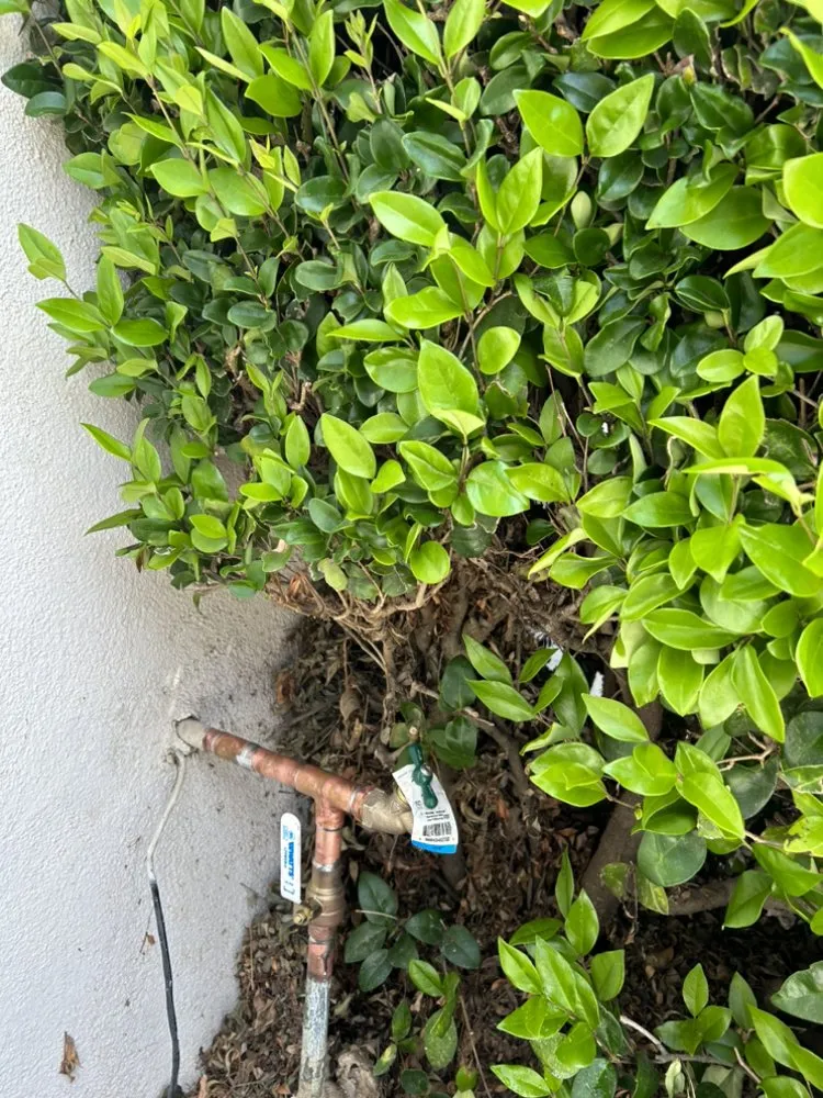 Slide of Main Drain Sewer Specialist