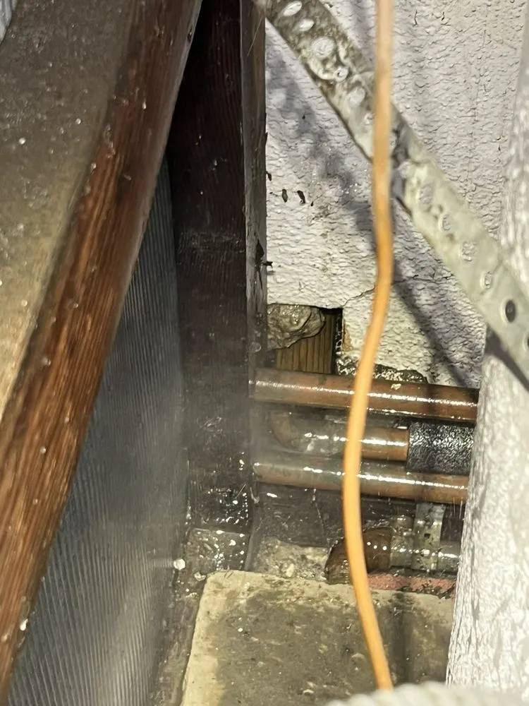 Slide of Main Plumbing