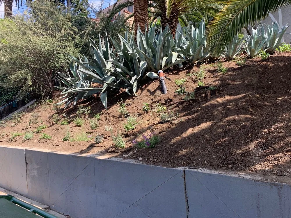 Slide of Main Plumbing