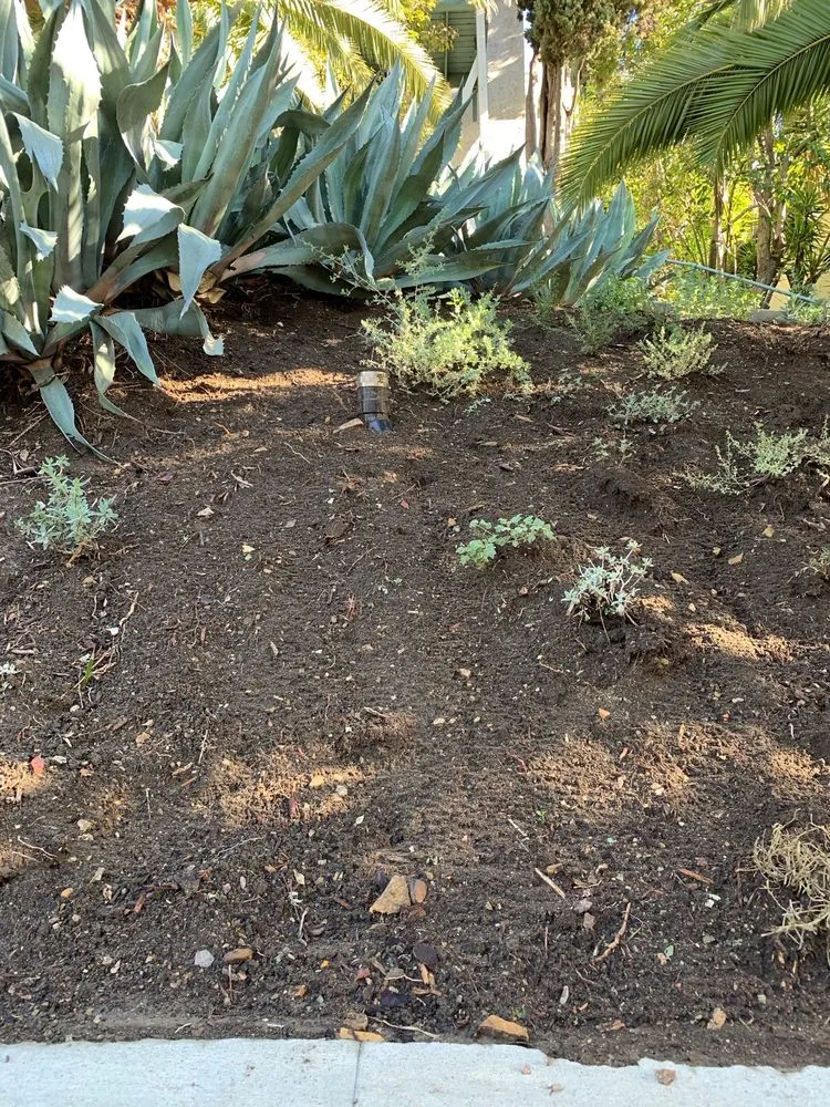 Slide of Main Plumbing