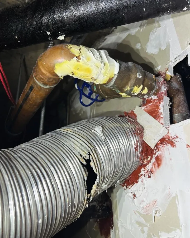 Slide of Main Plumbing Services