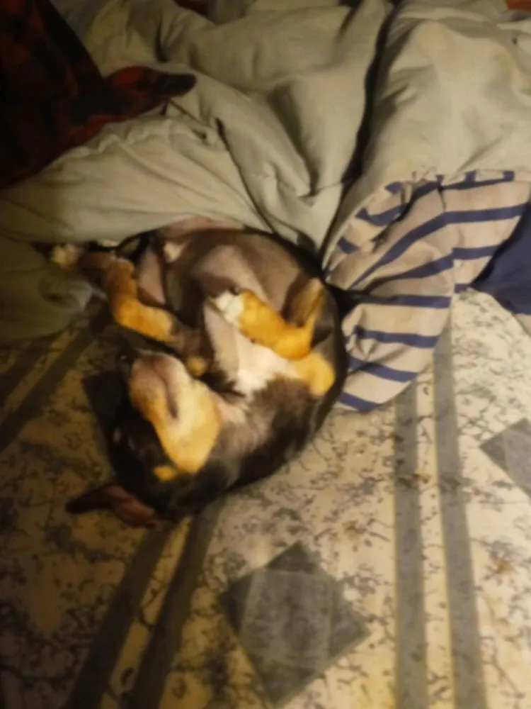 Slide of Main Street Drain Cleaning