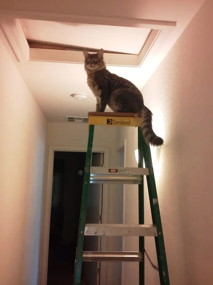 Slide of Main Street Mechanical