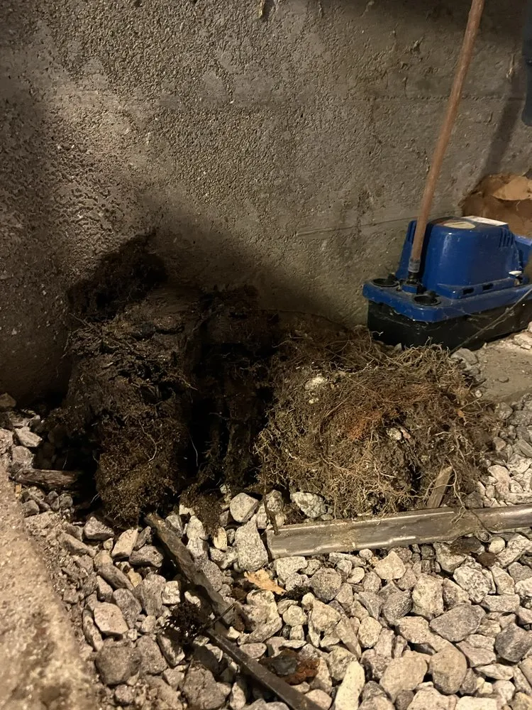 Slide of Maine Drain Busters