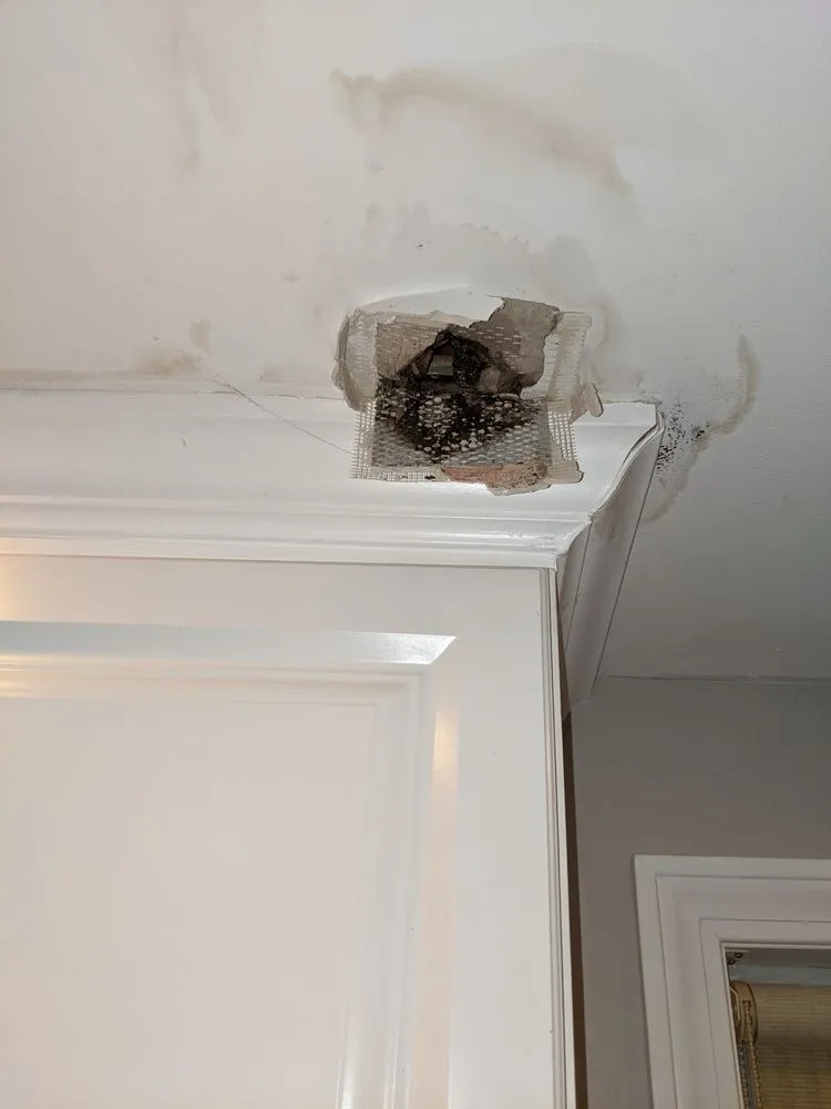 Slide of Maine Drain Busters