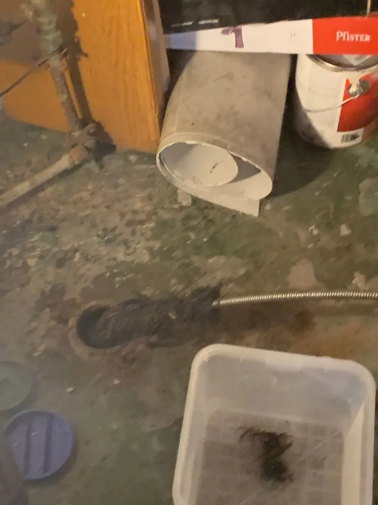 Slide of Mainline Drain & Sewer Cleaning